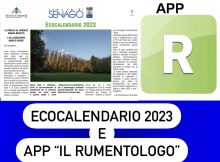 A2DDC11D-7559-400E-A6E3-F477A20A0EDE