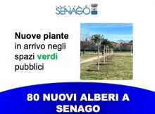 BANNER generali