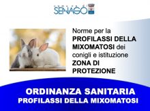 BANNER generali