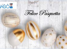 Felice Pasquetta