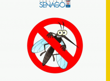 interventi e misure contro la proliferazione delle zanzare senago
