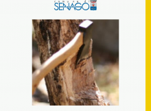 taglio piante da parte dei privati senago