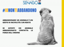 campagna contro l'abbandono degli animali estate 2023 senago