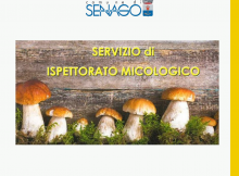 Modello per post fb comune di senago - 2023-09-04T095238.738