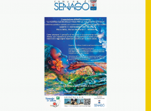 Modello per post fb comune di senago (28)