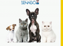 disabituante per cani e gatti senago