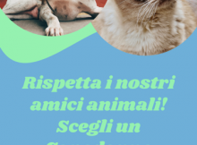 Volantino botti