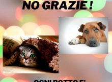 Volantino botti capodanno