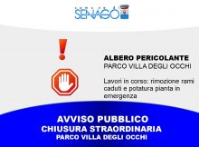 albero pericolante-chiusura parco Villa degli occhi