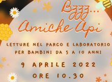 bizz amiche api letture e laboratorio