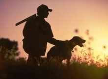 caccia tesserino venatorio