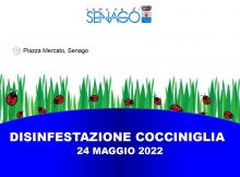 disinfestazione cocciniglia
