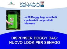 dog bag