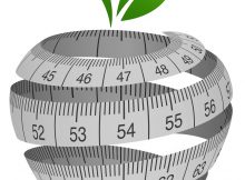 logo definitivo anna (1)