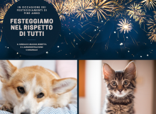 no ai botti di capodanno