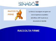raccolta firme ok