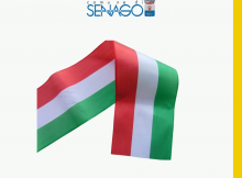 sindaco e vicesindaco senago