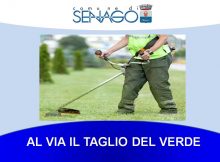 TAGLIO VERD
