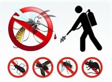 disinfestazione