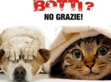 no botti per cani e gatti