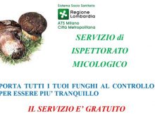 servizio ispettorato funghi
