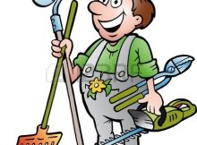 taglio del verde